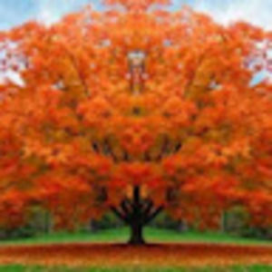 Meet your Posher, Gail